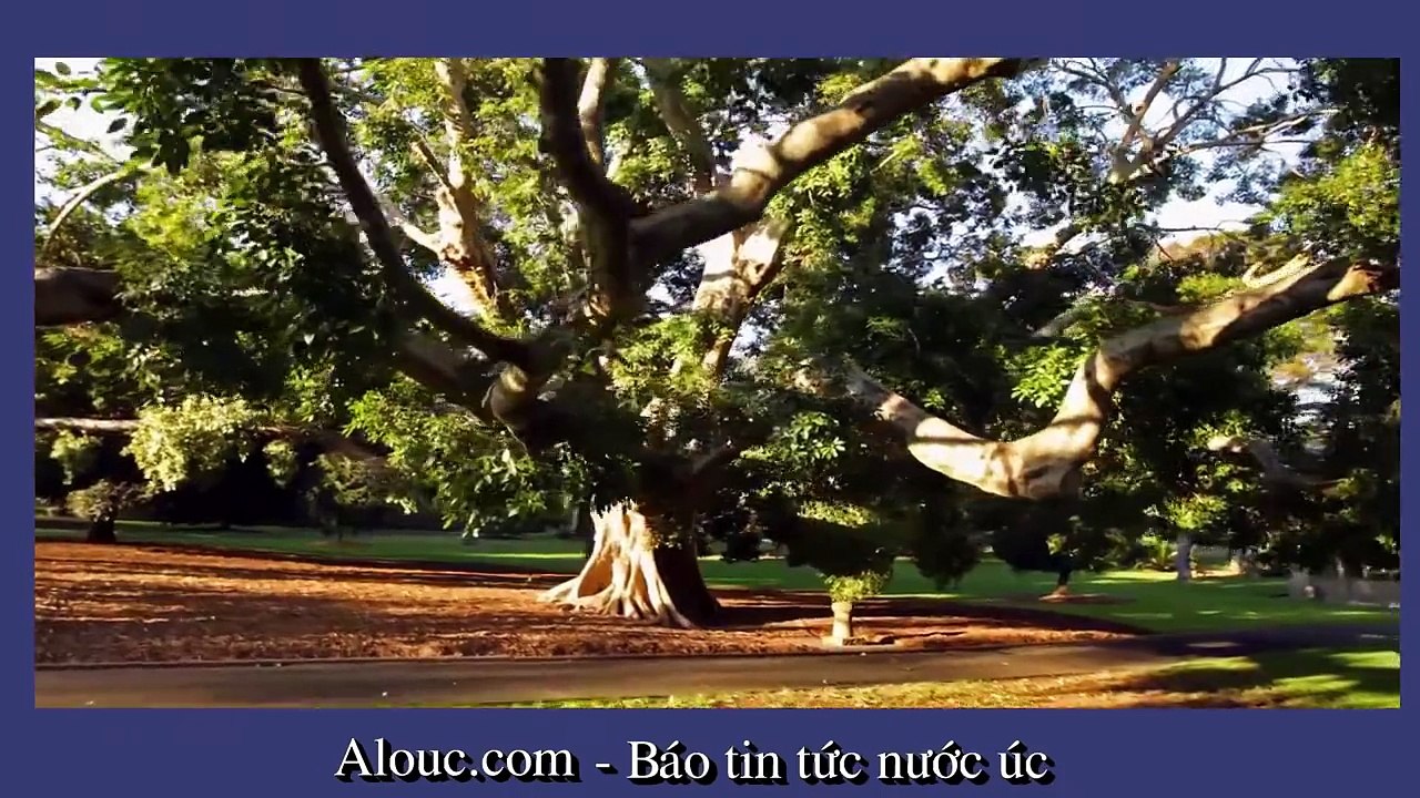 Australia - Đất Nước Nằm những Quốc Gia Đáng Sống Nhất Trên Thế Giới!