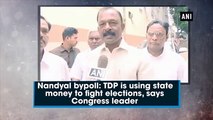 Nandyal Bypoll: TDP using State Money to Fight Elections : N Raghuveera Reddy