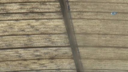 Bu Pazarda Ne Sıcaklar, Ne de Fiyatlar Yakıyor