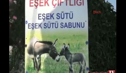 Eşek sütünden sabun yapıp satıyor