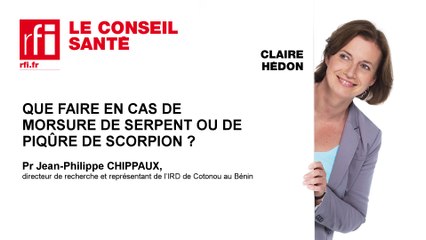 Que faire en cas de morsure de serpent ou piqûre de scorpion ?