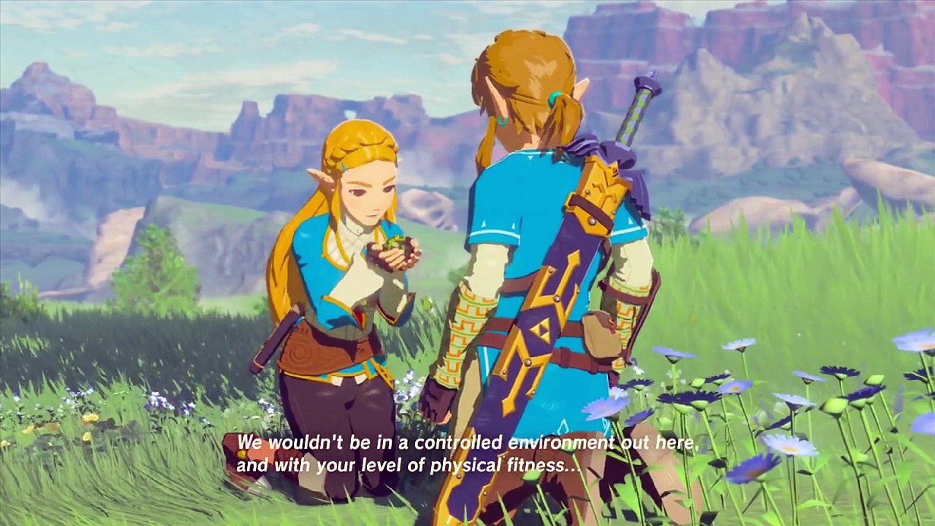 Zelda Botw Recovered Memory 9 Silent Princess Wii U Video Dailymotion