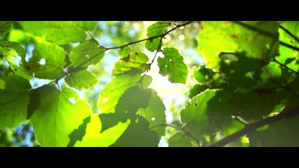 BTS (방탄소년단) LOVE YOURSELF Highlight Reel '承'