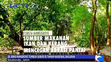 Menapaki Taman Nasional Baluran 'Afrika van Java'