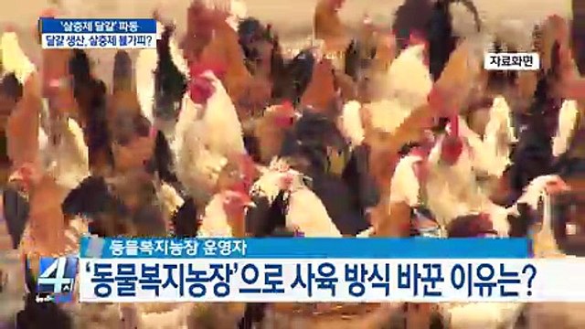 4시 뉴스집중.170818