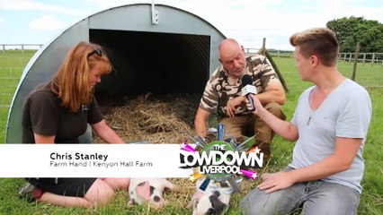 The Lowdown Liverpool - 16th August