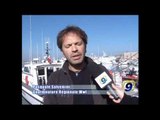 MOLFETTA - WWF | BiodiversaMente