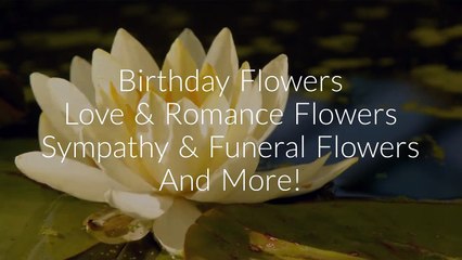 Call @ 213-908-1591 For Same Day Flower Delivery Los Angeles