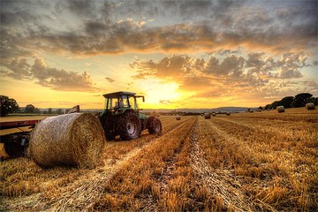 Buğday, Arpa ve Çavdar İçin Dekar Başına 17 Lira Destek