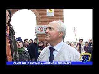 CANNE DELLA BATTAGLIA | Difendi il tuo parco