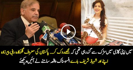 Rabi Pirzada Angry On Shahbaz Sharif
