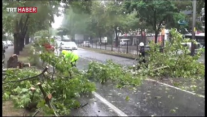 Kocaeli'de şiddetli yağış ağaçları devirdi