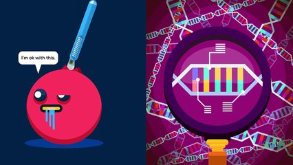 Genetic Engineering Will Change Everything Forever – CRISPR