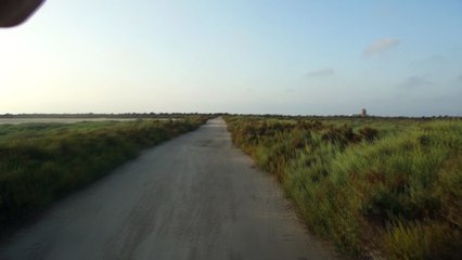 Rulando por el puntas entinas sabinar