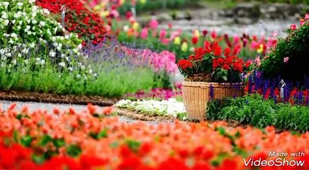 Anticriest dajjal fitna dajjal