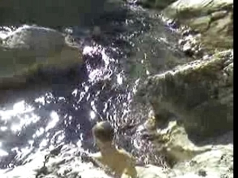 les calanques 2