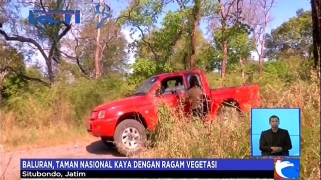 Yuk, Berlibur ke Taman Nasional Baluran