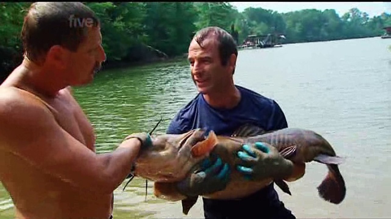 Extreme Fishing With Robson Green s01e02 Southern USA video Dailymotion