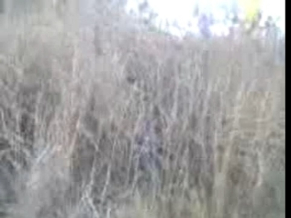 velo a avrieux