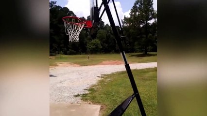 Une météorite enflammée tombe dans un jardin