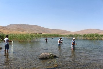 Balık Gölü Ziyaretçi Akınına Uğruyor