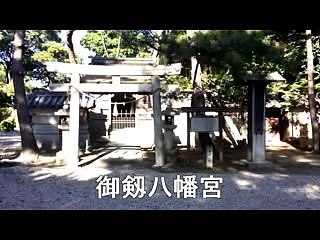 (Taoyakaibs) odekake microphone Mikawa's small Kyoto which can naturally and culturally understand and live heartily