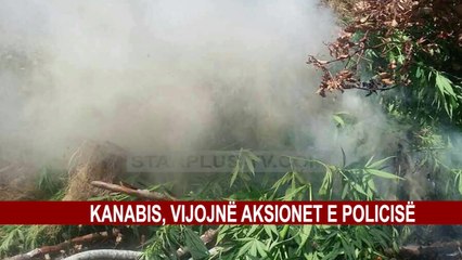 KANABIS, VIJOJNË AKSIONET E POLICISË