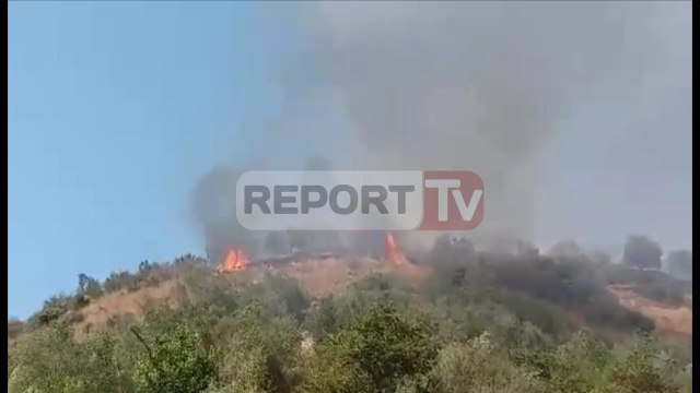 Report - Fier, zjarr në afërsi të kodrave të Levanit, digjen shkurre dhe ullinj