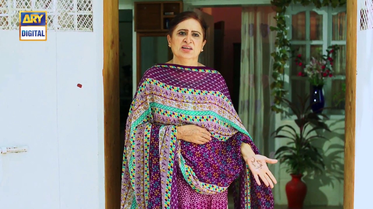 Mein Mehru Hoon Ep 239 - 18th August 2017 - ARY Digital Drama