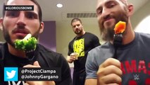 #GLORIOUSBOMB Comp Starring Tommaso Ciampa, Johnny Gargano, and Bobby Roode