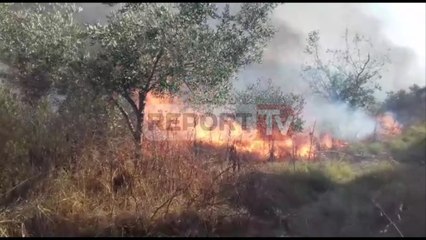 Report TV - Trafiku në aksin Levan Fier është shumë i ngarkuar