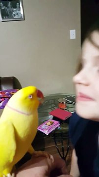 Une petite fille reçoit des bisous de son perroquet ! Mignon