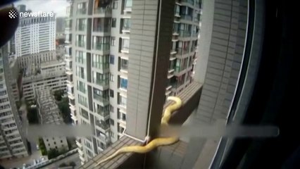 Police officers rescue python from skyscraper