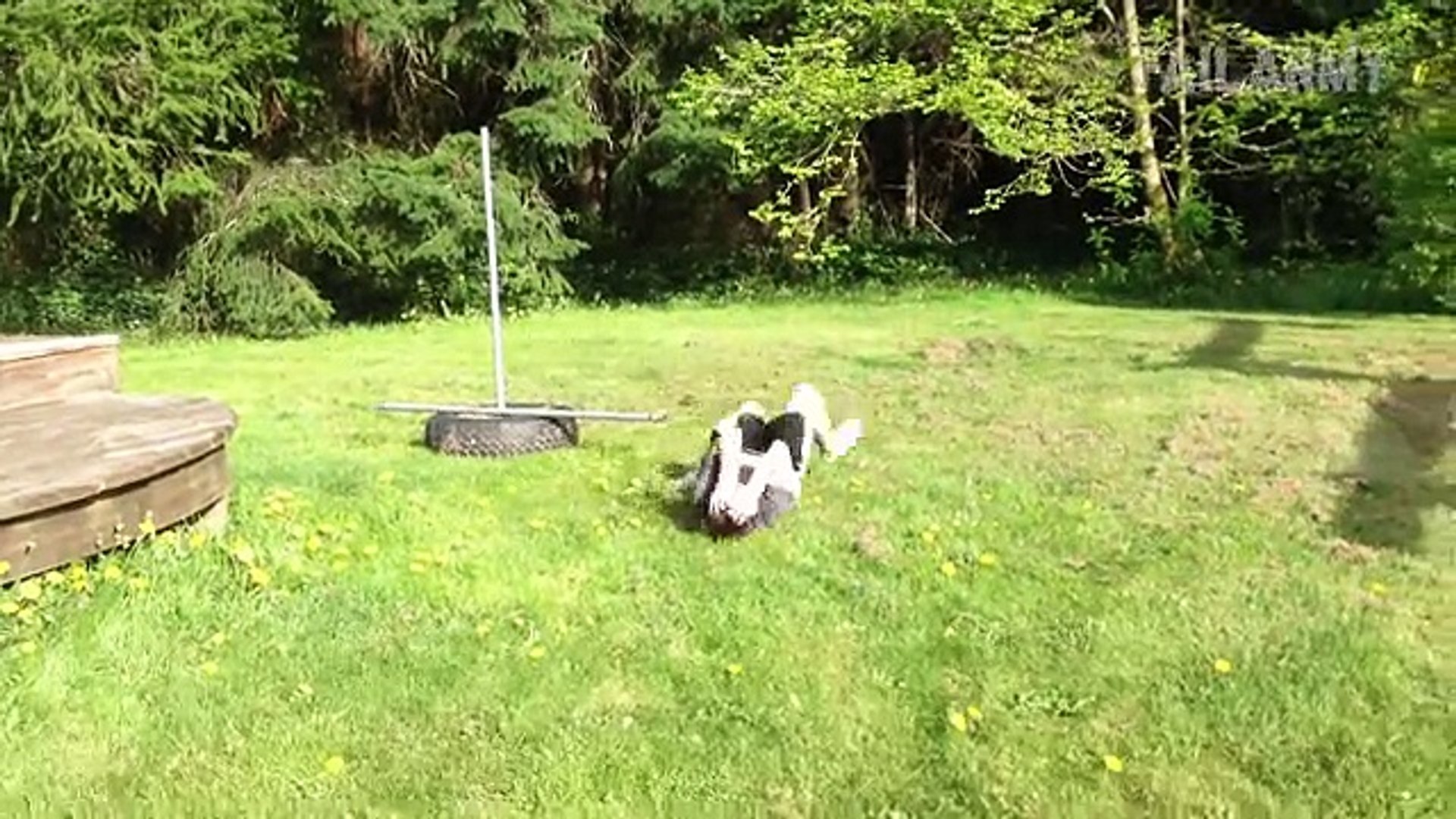 Kids Funny Video ★ Funny Videos Of Kids ★ Funny Videos For Kids ★ Funny Baby Fails