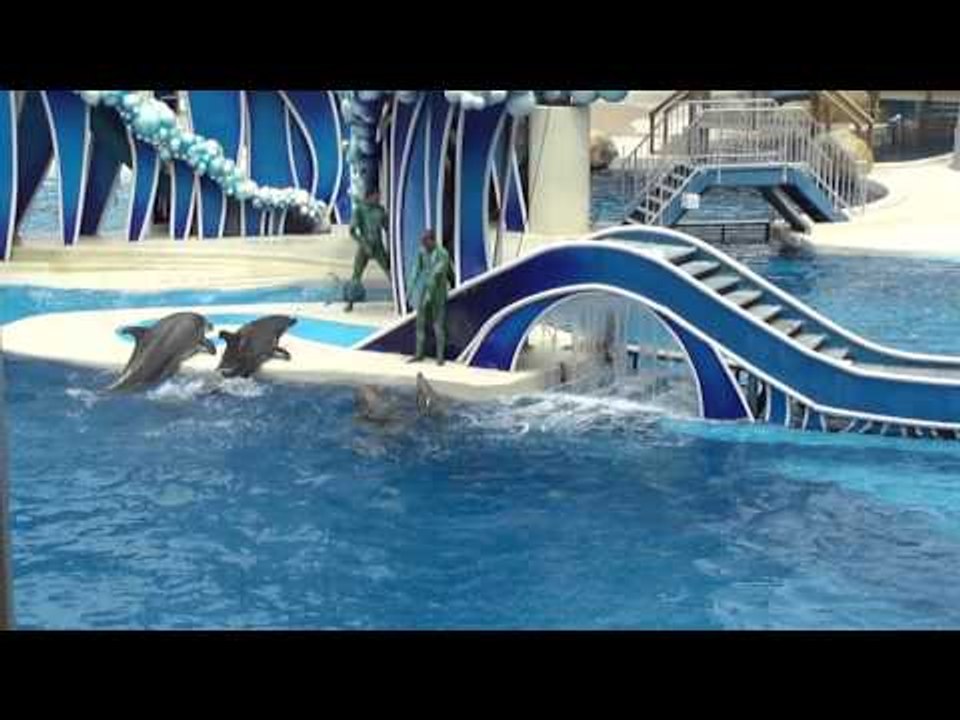 Orcas amaestradas