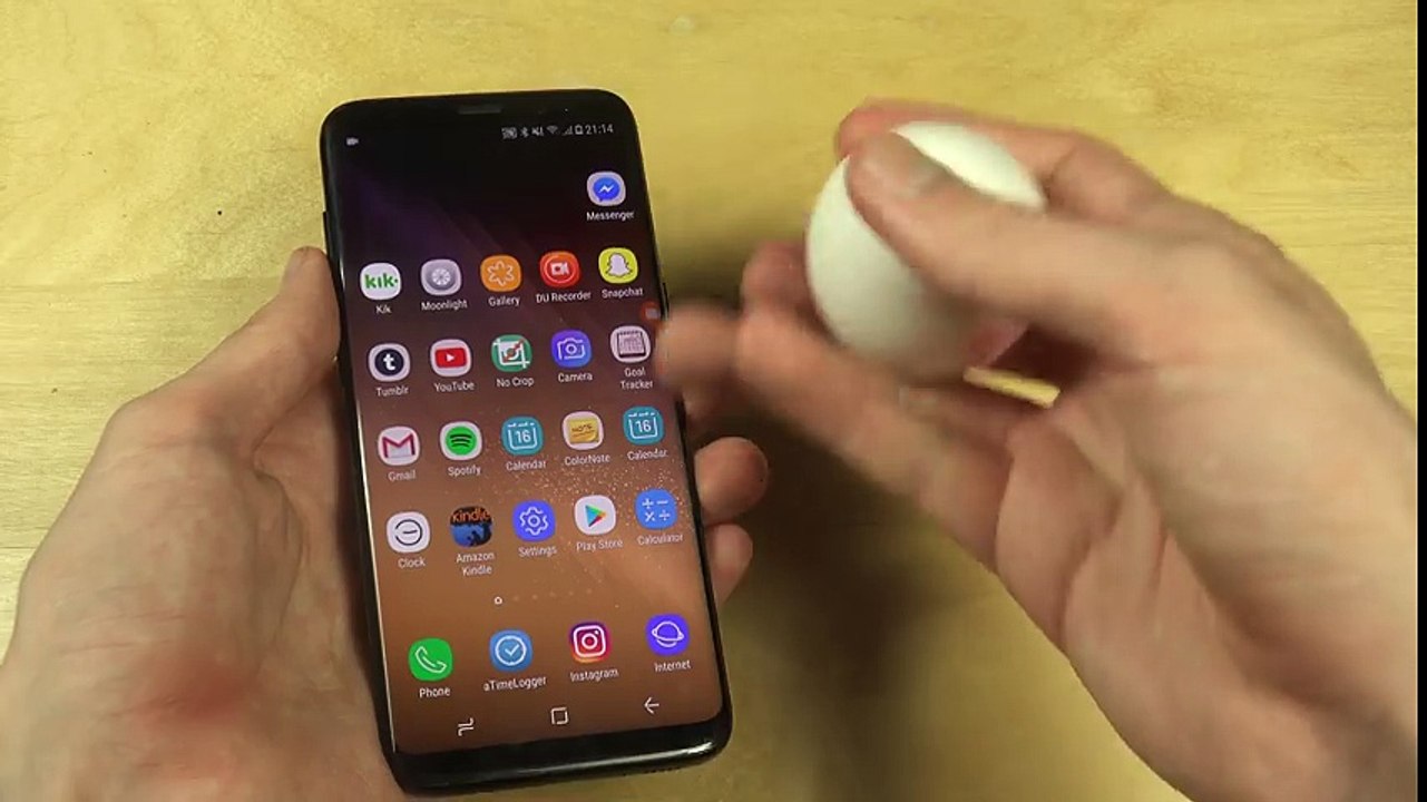 Samsung Galaxy S8 vs. An Egg - Quick Comparison