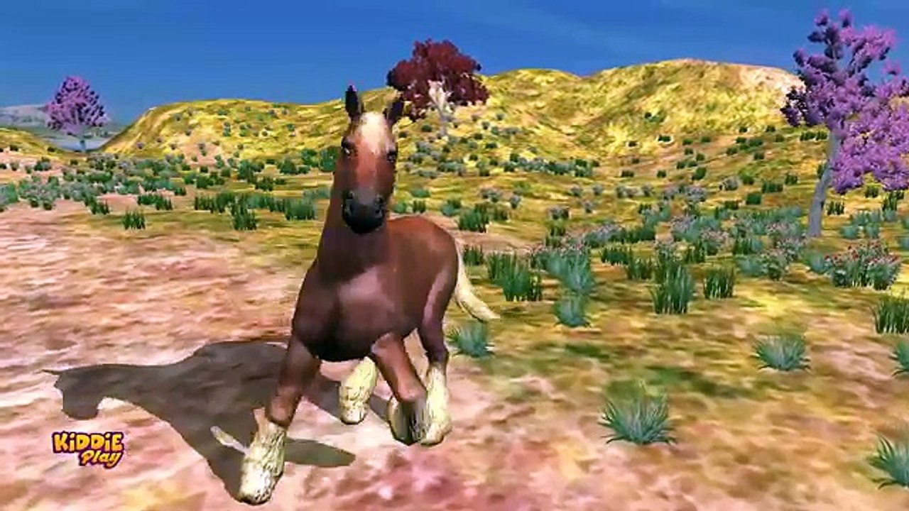 Animals Cartoons Finger Family Children Nursery Rhymes | Animals Finger Family Rhymes for