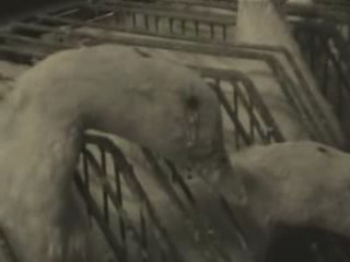 Enquête au pays du foie gras