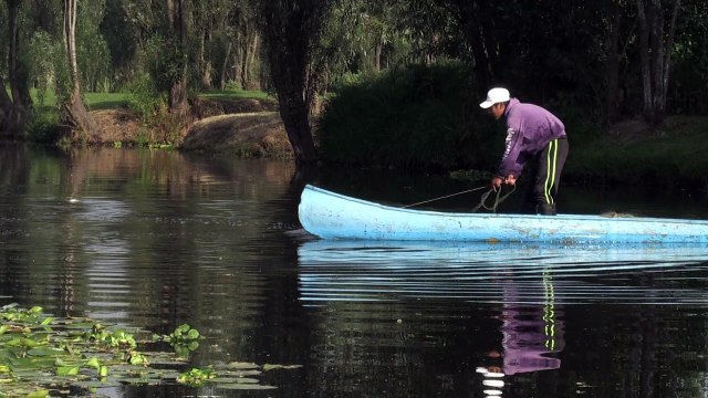 Les pêcheurs veulent sauver le jardin aztèque de Xochimilco