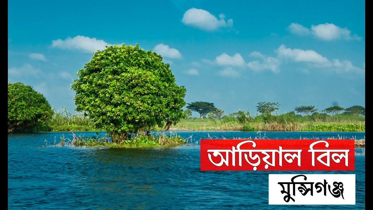 সবুজ আর নীল আকাশের স্বর্গ আড়িয়াল বিল, মুন্সিগঞ্জ  Arial Beel