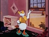 Donald Duck, Daisy Cured Duck ,cartoons animated  Movies  tv series show 2018