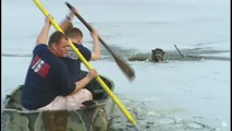 Dog rescued from icy pond [Delaware Online News Video]