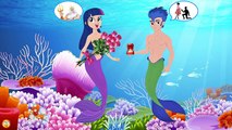 New episodes _ Mermaid MLP Equestria Girls Transforms with Animation Love Story Knights Tournament ,cartoons animated  Movies  tv series show 2018
