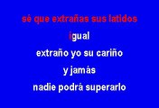 La Banda Guasaveña - Total, Ya Se Fue (Karaoke)