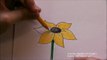 Blume zeichnen. Blumen malen. Zeichnen lernen für Anfänger