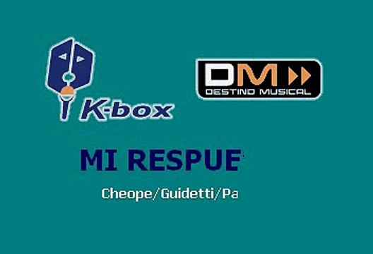 Laura Pausini - Mi Respuesta (Karaoke con voz guia)