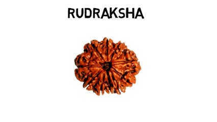 पर्स में अवश्य रखे ये चीजे आपको करोडपति बना सकती है