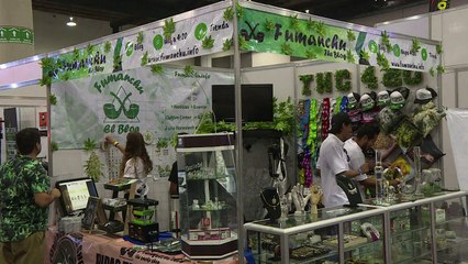 Exposición promueve uso lúdico de la marihuana en México