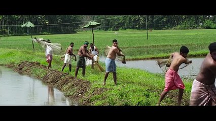 Melle Malayalam Movie | Punjapadathe Song Video | Vaikom Vijayalakshmi | Official