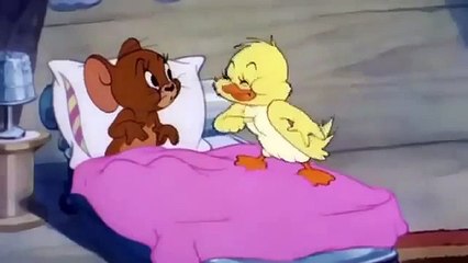 Tom and Jerry Cartoon BEST FUNNY CLIPS